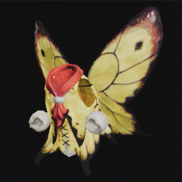 パピネコベストα画像