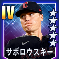 サボロウスキー画像