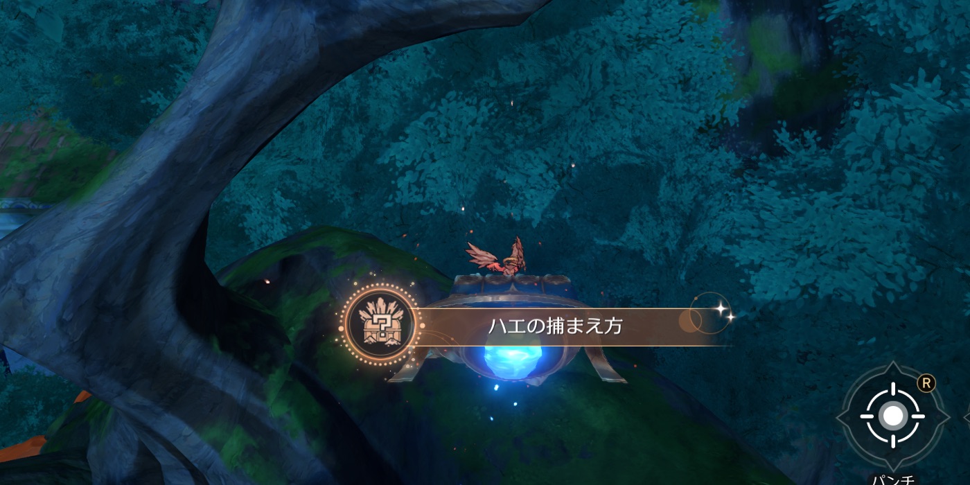 ハエの捕まえ方