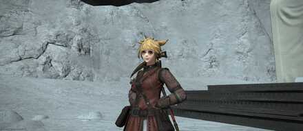 ライトカラーグラス見た目