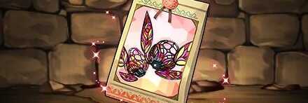 【12448】チューリップの球根