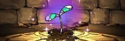 【12437】黒薔薇の邪萌芽