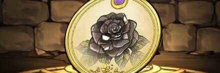 【12440】黒薔薇の標本