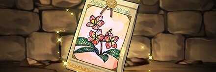 【12445】プルメリアの種子