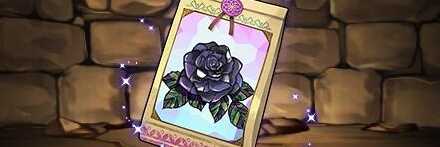 【12441】黒薔薇の種子