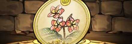 【12444】プルメリアの標本