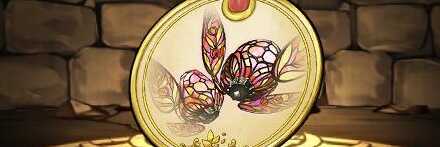 【12447】チューリップの標本