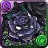 変身黒薔薇
