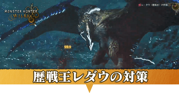 歴戦王レダウ対策