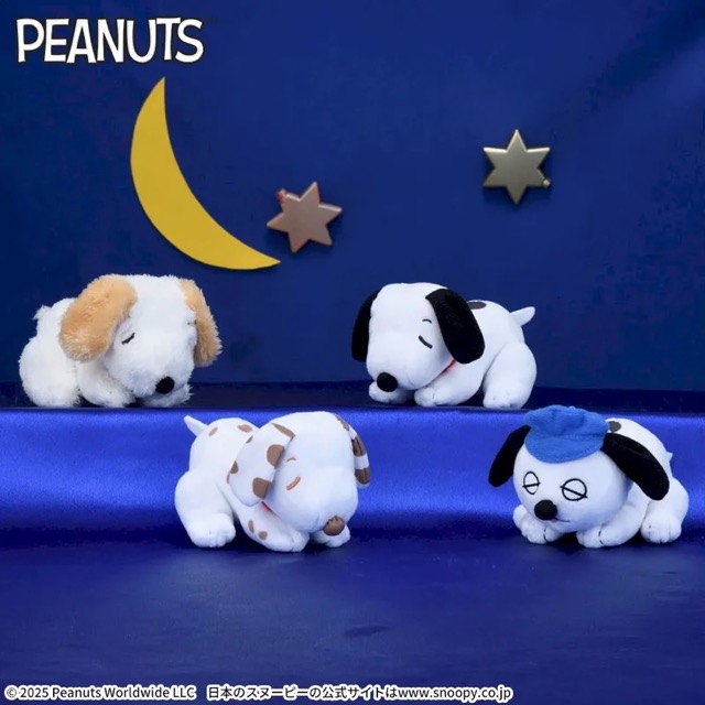 ニュースアイコン
