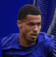 HPリーヴァイコーウィル(05/05)画像