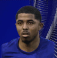 HPウェズレイフォファナ(05/05)画像