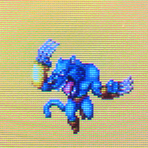 タイガークローの画像