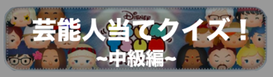 芸能人当てクイズ中級編.png