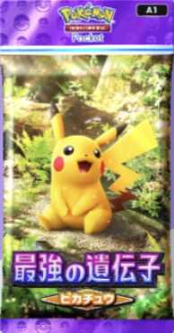 ピカチュウパック