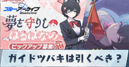 ガイドツバキは引くべき?