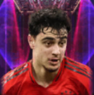 HPアレクサンダルパフロフィッチ(05/15)画像