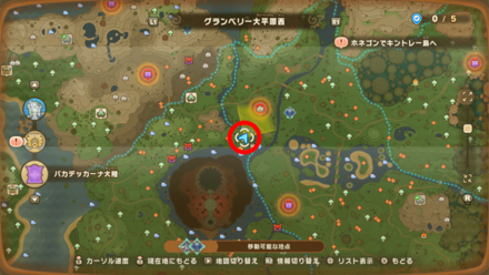 バカデッカーナ大陸