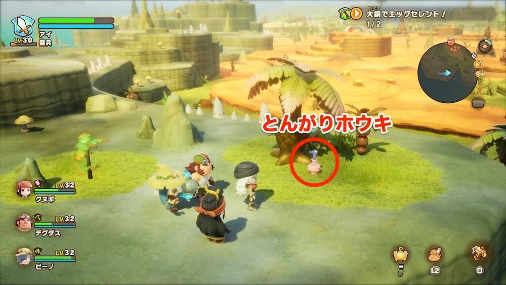 とんがりホウキの現地画像