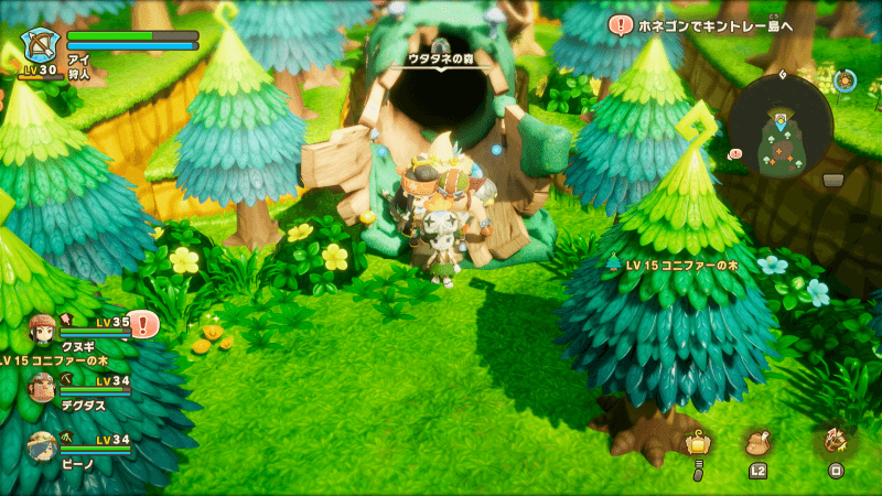 コニファー古木