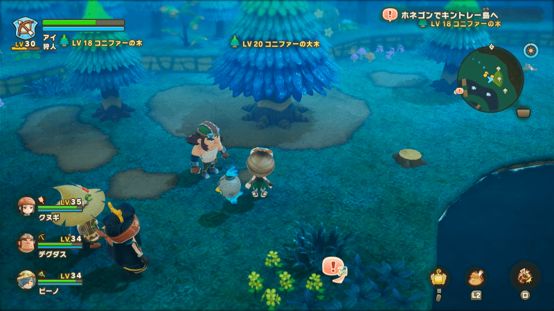 コニファー古木