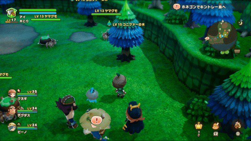 コニファー古木