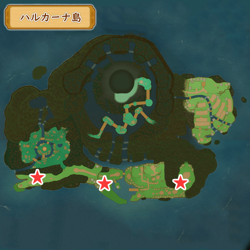 コニファー古木