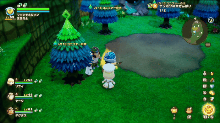 コニファー原木