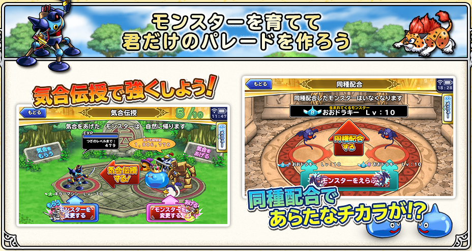 どこ パレ 職業