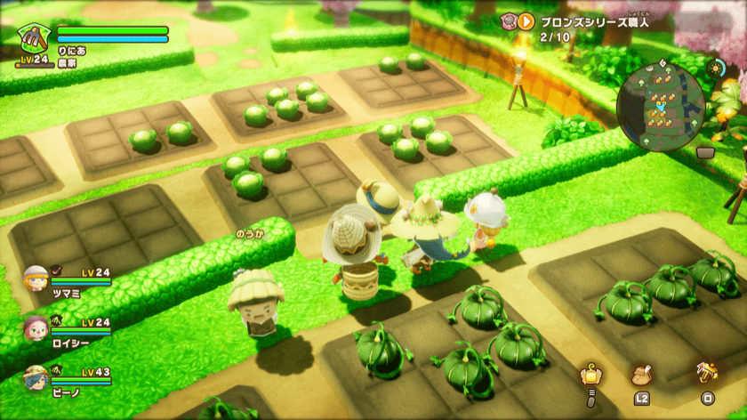 ムラサキャベツ