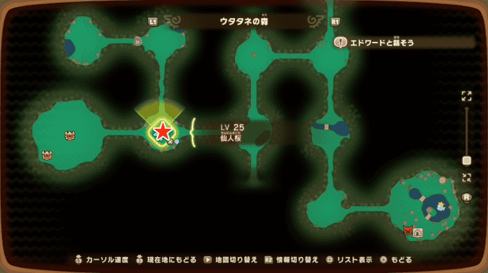 サクラの切り枝