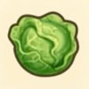 キャベツ画像