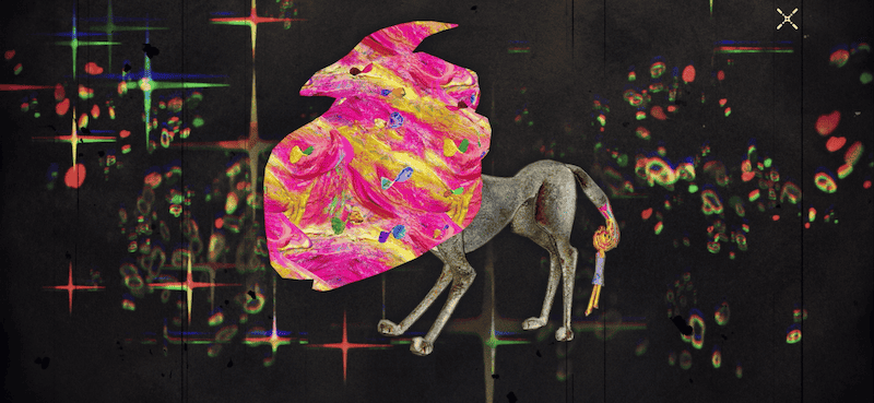 犬の魔女の画像