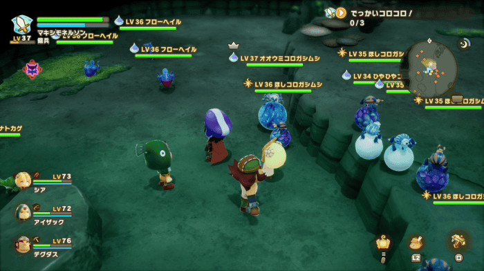 オオウミコロガシムシ