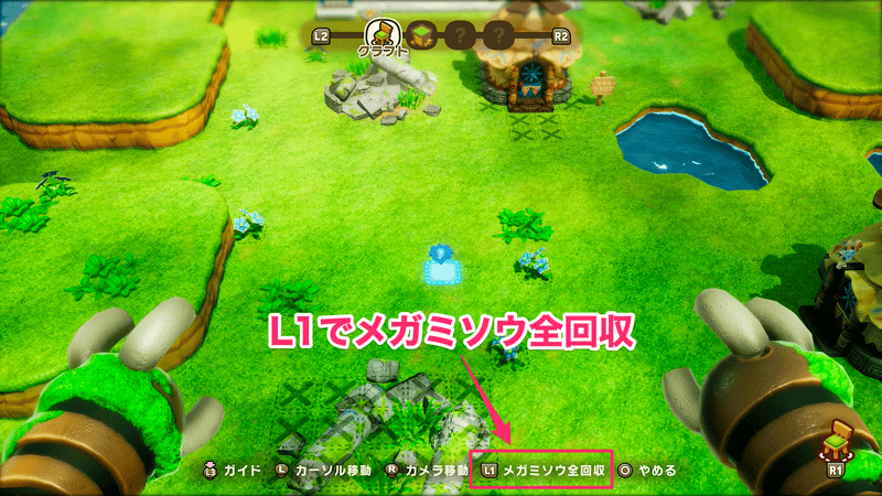 メガミソウ全回収