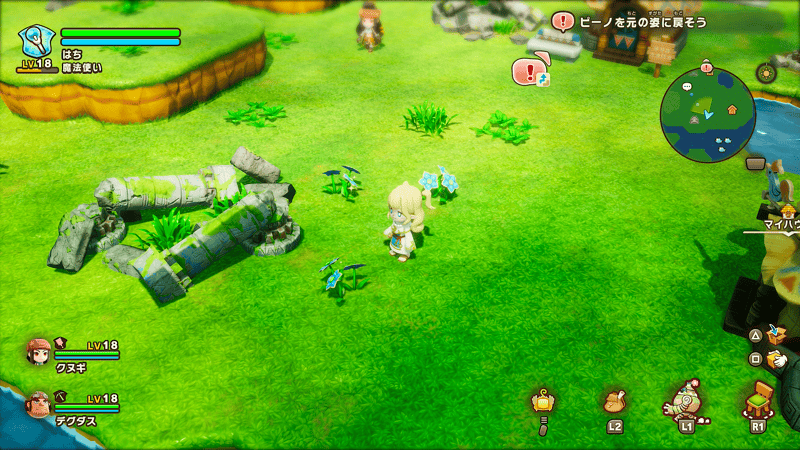 メガミソウ回収