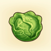 キャベツ画像