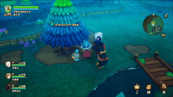 コニファーの大木