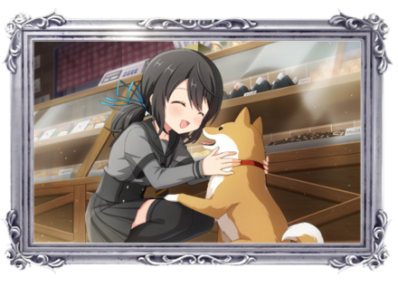 マメジは頼りになる看板犬画像