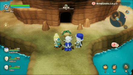 怪鳥の巣の見た目