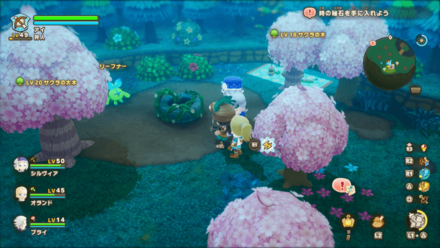 精霊の通り道の見た目