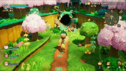 ハネビラ大樹海の見た目