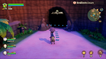 ノーズホール洞窟の見た目