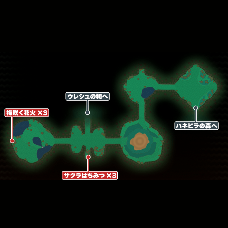 ハネビラ大樹海1のマップ