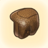 狩人のてぶくろ画像