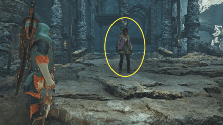 強さの頂き、その先への依頼者の場所