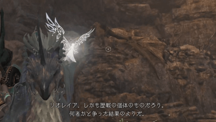 リオレイア死体 (1)