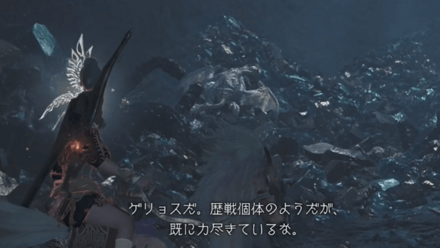 ゲリョス死体 (1)