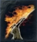 炎擊画像