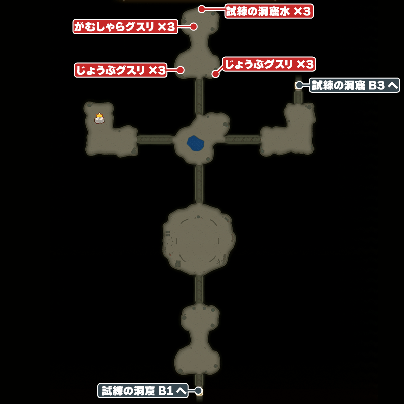 試練の洞窟B2のマップ
